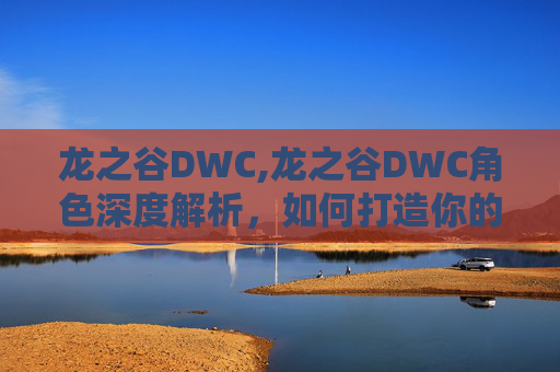 龙之谷DWC,龙之谷DWC角色深度解析，如何打造你的专属战士