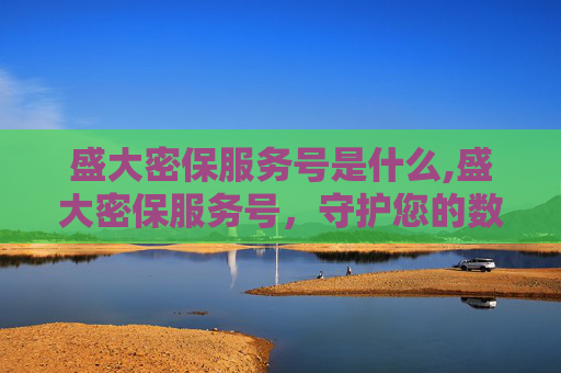 盛大密保服务号是什么,盛大密保服务号，守护您的数字资产安全
