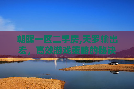 朝晖一区二手房,天罗输出宏，高效游戏策略的秘诀