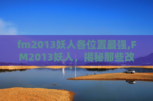 fm2013妖人各位置最强,FM2013妖人，揭秘那些改变比赛的神秘力量