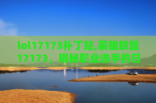 lol17173补丁站,英雄联盟17173，揭秘职业选手的日常生活与训练