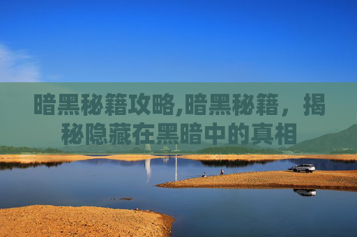 暗黑秘籍攻略,暗黑秘籍，揭秘隐藏在黑暗中的真相