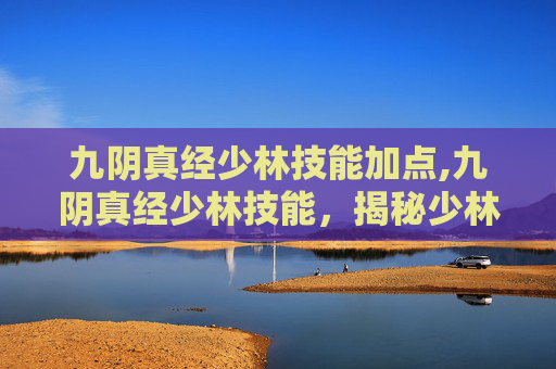 九阴真经少林技能加点,九阴真经少林技能，揭秘少林寺的武学精髓