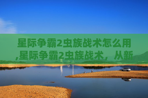 星际争霸2虫族战术怎么用,星际争霸2虫族战术，从新手到高手的蜕变之路