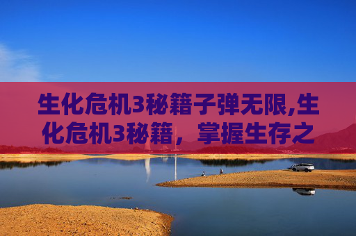 生化危机3秘籍子弹无限,生化危机3秘籍，掌握生存之道