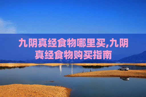九阴真经食物哪里买,九阴真经食物购买指南