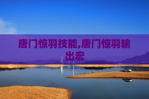 唐门惊羽技能,唐门惊羽输出宏
