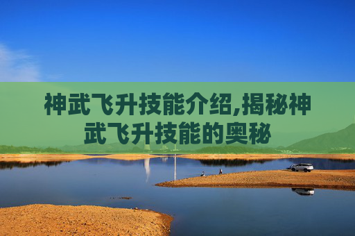 神武飞升技能介绍,揭秘神武飞升技能的奥秘