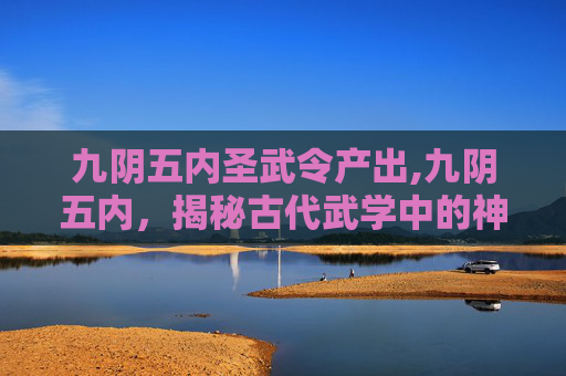 九阴五内圣武令产出,九阴五内，揭秘古代武学中的神秘力量