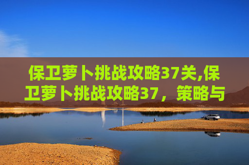 保卫萝卜挑战攻略37关,保卫萝卜挑战攻略37,策略与技巧全面提升 保卫萝卜挑战攻略37关,保卫萝卜挑战攻略37,策略与技巧全面提升