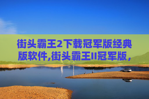 街头霸王2下载冠军版经典版软件,街头霸王II冠军版，经典格斗游戏的不朽传奇