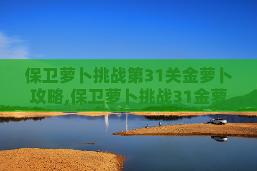 保卫萝卜挑战第31关金萝卜攻略,保卫萝卜挑战31金萝卜攻略