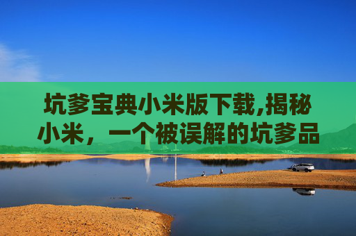 坑爹宝典小米版下载,揭秘小米，一个被误解的坑爹品牌