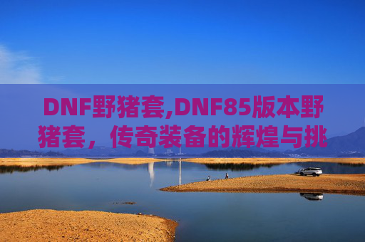 DNF野猪套,DNF85版本野猪套，传奇装备的辉煌与挑战