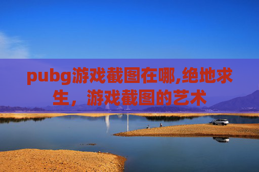 pubg游戏截图在哪,绝地求生，游戏截图的艺术