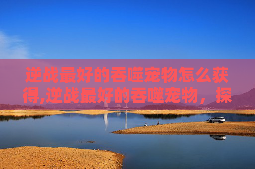 逆战最好的吞噬宠物怎么获得,逆战最好的吞噬宠物，探索游戏中的终极生物