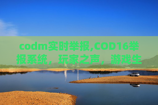 codm实时举报,COD16举报系统，玩家之声，游戏生态的守护者