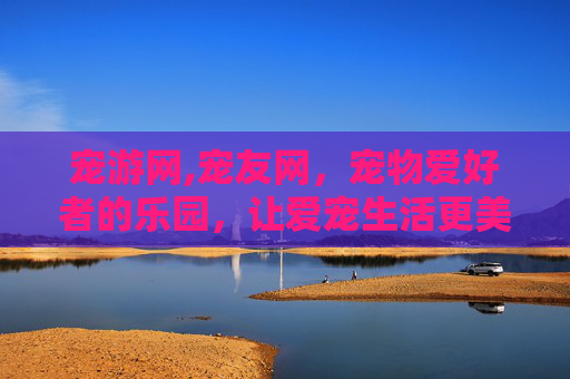 宠游网,宠友网，宠物爱好者的乐园，让爱宠生活更美好