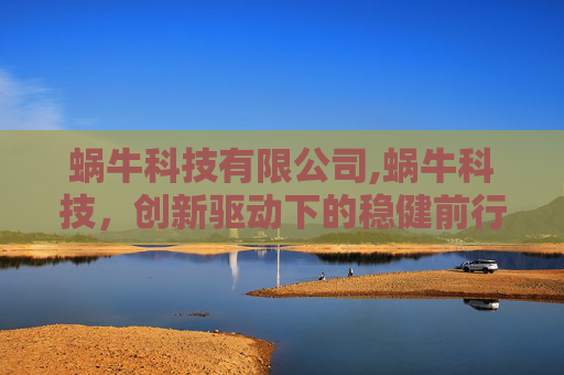 蜗牛科技有限公司,蜗牛科技，创新驱动下的稳健前行