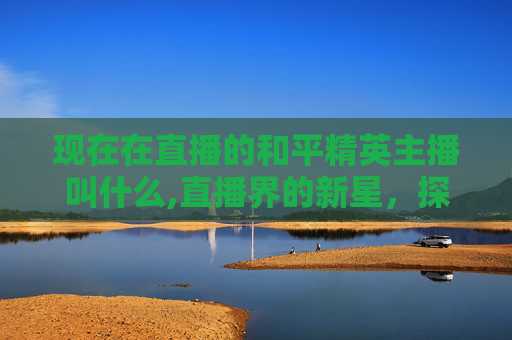 现在在直播的和平精英主播叫什么,直播界的新星，探索和平精英主播的崛起之路