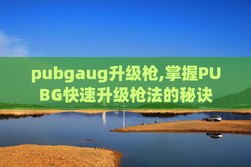 pubgaug升级枪,掌握PUBG快速升级枪法的秘诀