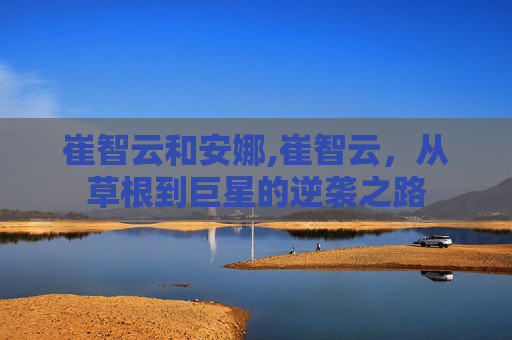崔智云和安娜,崔智云，从草根到巨星的逆袭之路