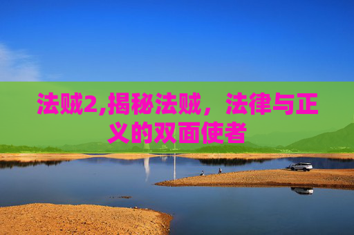法贼2,揭秘法贼，法律与正义的双面使者