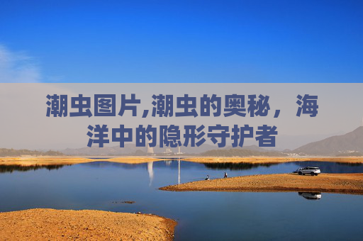 潮虫图片,潮虫的奥秘，海洋中的隐形守护者