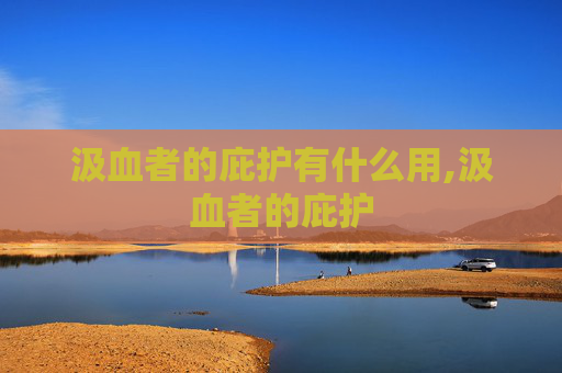 汲血者的庇护有什么用,汲血者的庇护 汲血者的庇护有什么用,汲血者的庇护