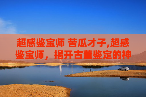 超感鉴宝师 苦瓜才子,超感鉴宝师，揭开古董鉴定的神秘面纱