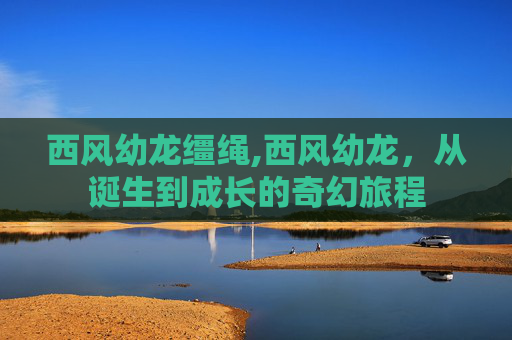 西风幼龙缰绳,西风幼龙，从诞生到成长的奇幻旅程