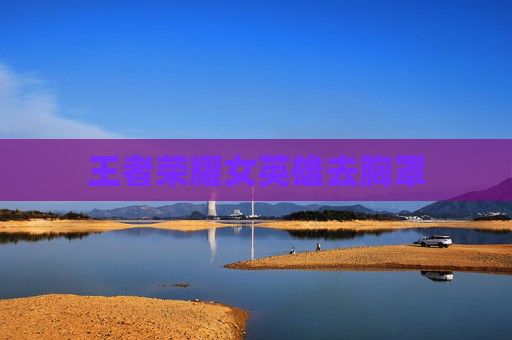 王者荣耀女英雄去胸罩