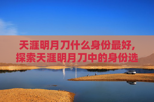 天涯明月刀什么身份最好,探索天涯明月刀中的身份选择，影响游戏体验的多维分析