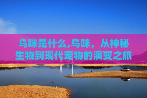 乌咪是什么,乌咪，从神秘生物到现代宠物的演变之旅