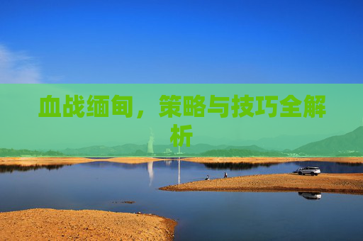 血战缅甸，策略与技巧全解析