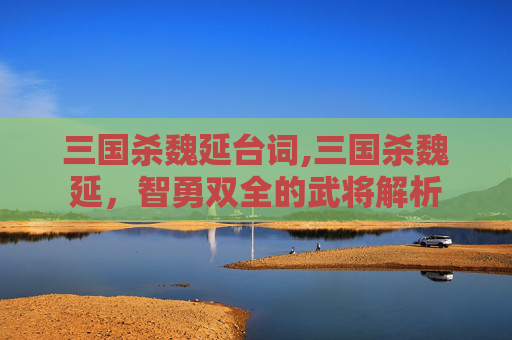 三国杀魏延台词,三国杀魏延，智勇双全的武将解析