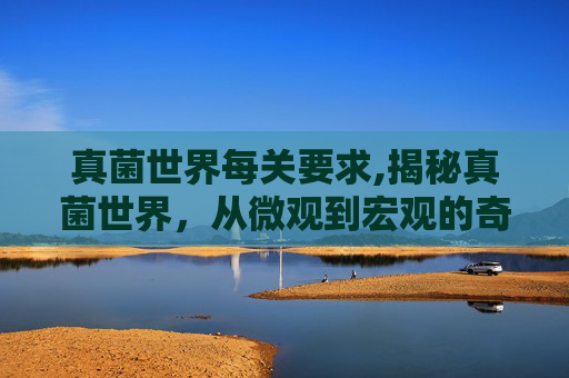 真菌世界每关要求,揭秘真菌世界，从微观到宏观的奇妙之旅