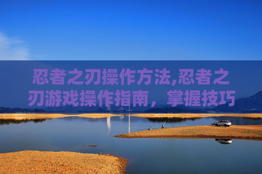 忍者之刃操作方法,忍者之刃游戏操作指南，掌握技巧，成为游戏中的高手