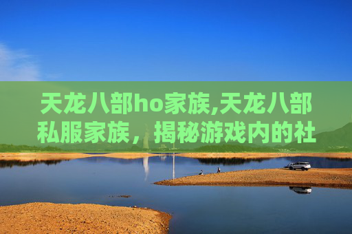 天龙八部ho家族,天龙八部私服家族，揭秘游戏内的社交与合作模式
