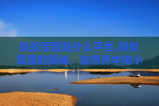 蚂蚁军团是什么平台,蚂蚁军团的奥秘,自然界中微小生物的惊人力量 蚂蚁军团是什么平台,蚂蚁军团的奥秘,自然界中微小生物的惊人力量