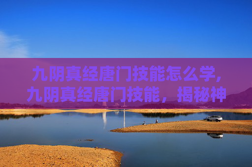 九阴真经唐门技能怎么学,九阴真经唐门技能，揭秘神秘武学中的绝技