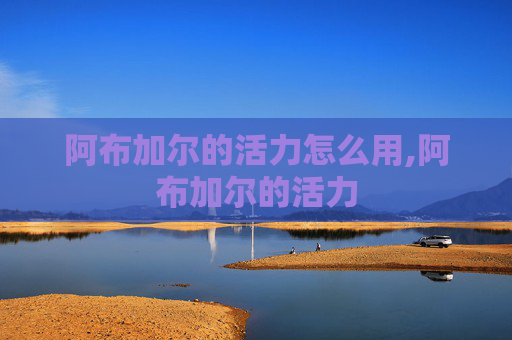 阿布加尔的活力怎么用,阿布加尔的活力